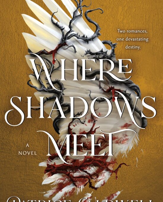 Where Shadows Meet